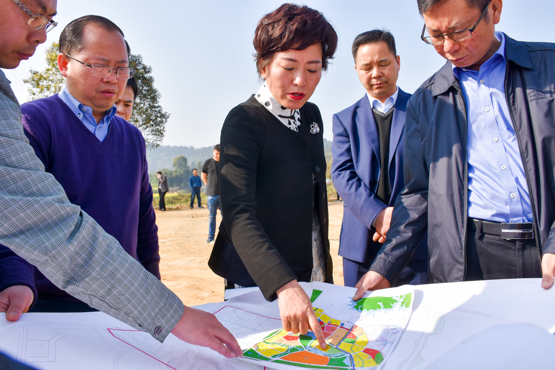 內(nèi)江市副市長(zhǎng)陳朗調(diào)研船石湖運(yùn)動(dòng)特色小鎮(zhèn)(圖2)