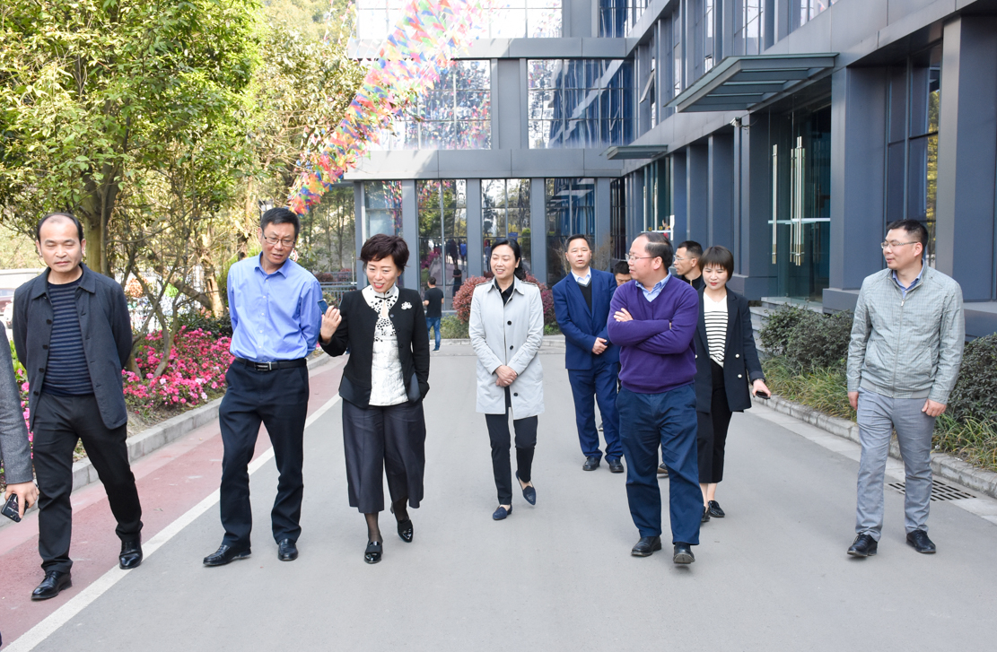 內(nèi)江市副市長(zhǎng)陳朗調(diào)研船石湖運(yùn)動(dòng)特色小鎮(zhèn)(圖3)