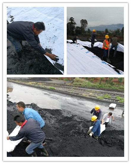 確保物資安全，通宇物流在行動(圖1)