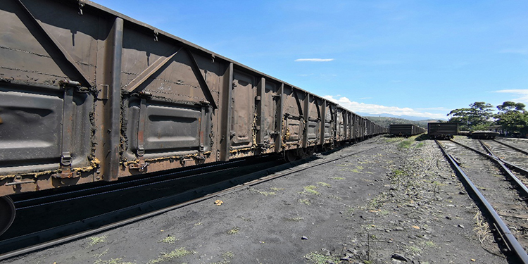 攀西（裝配建材）物流港單日車(chē)皮到達(dá)量創(chuàng)歷史新高(圖4)