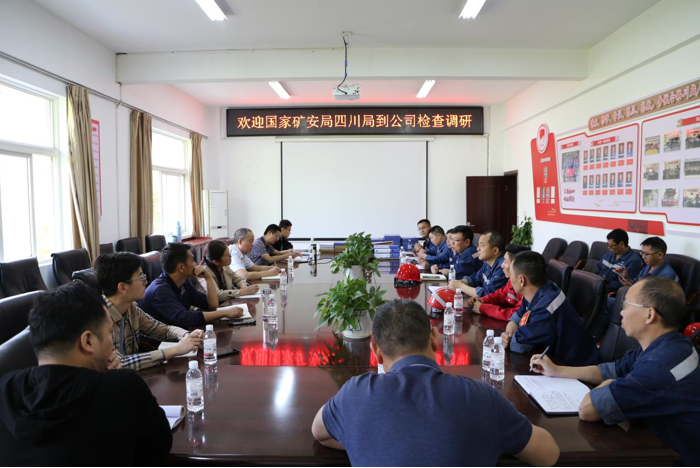 國(guó)家礦安局四川局唐平蒞臨星船城瑞達(dá)公司督察礦山工作