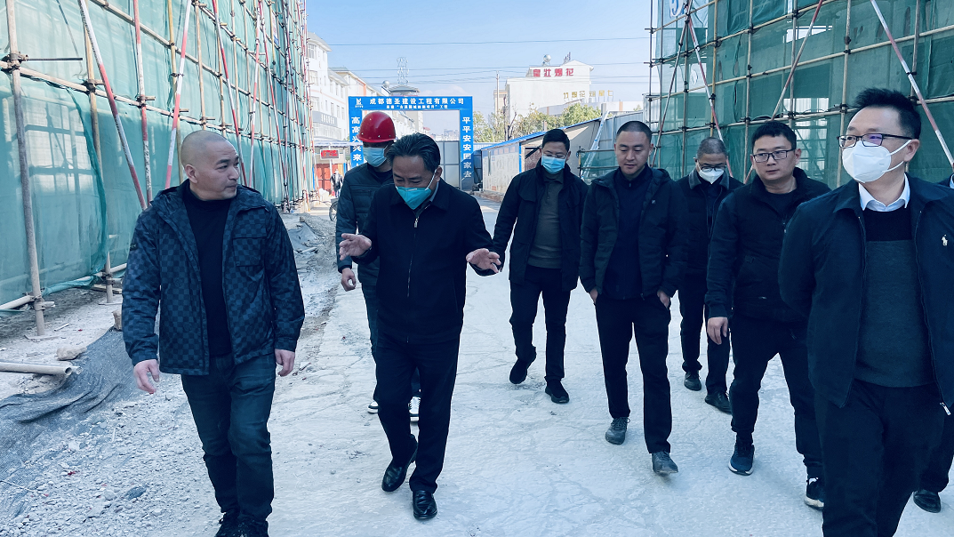 江川區(qū)委書記普光照一行蒞臨古滇國(guó)城調(diào)研指導(dǎo)工作(圖2)