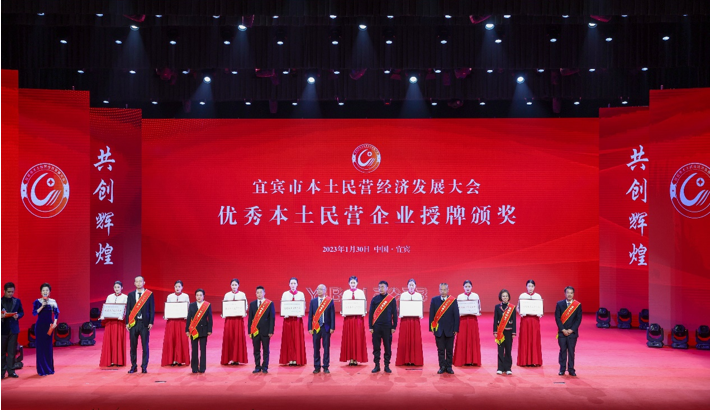 星船城瑞興公司榮獲“宜賓市優(yōu)秀本土民營企業(yè)”榮譽(yù)稱號(圖2)