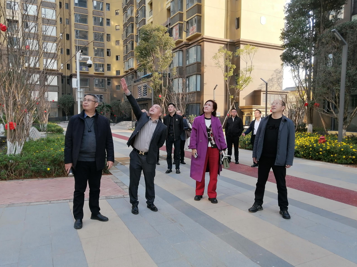 四川銀行西昌支行行長朱海蘭蒞臨江川項目考察調(diào)研(圖3)