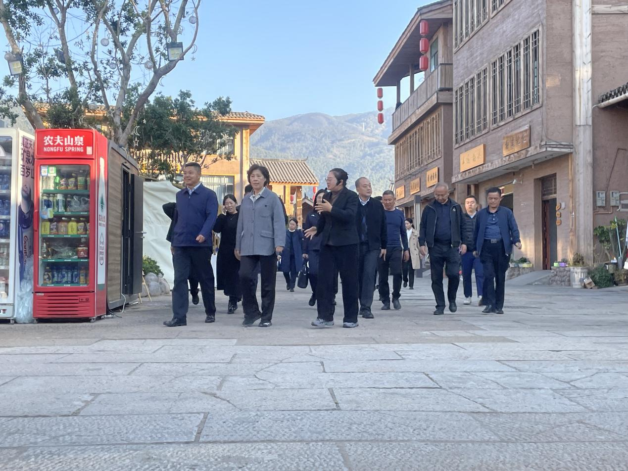 省政協(xié)主席田向利調(diào)研大石板鄉(xiāng)村振興項目