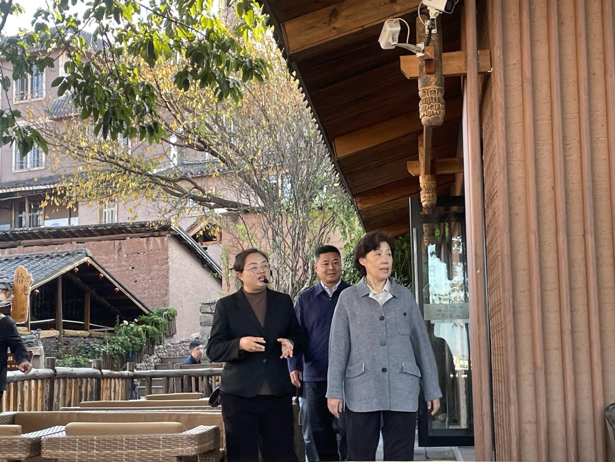 省政協(xié)主席田向利調(diào)研大石板鄉(xiāng)村振興項(xiàng)目(圖2)