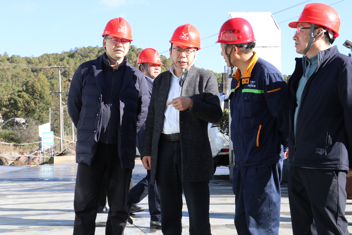 會(huì)理市市委副書(shū)記劉宇翼到礦業(yè)總公司會(huì)理財(cái)通公司視察(圖3)