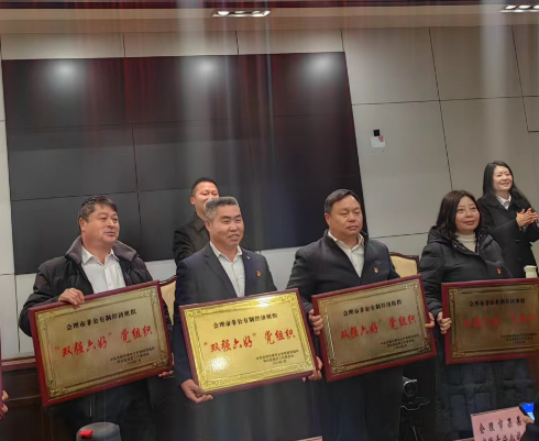 喜訊！礦業(yè)總公司財通公司黨支部榮獲會理市“雙強六好”黨組織稱號(圖2)