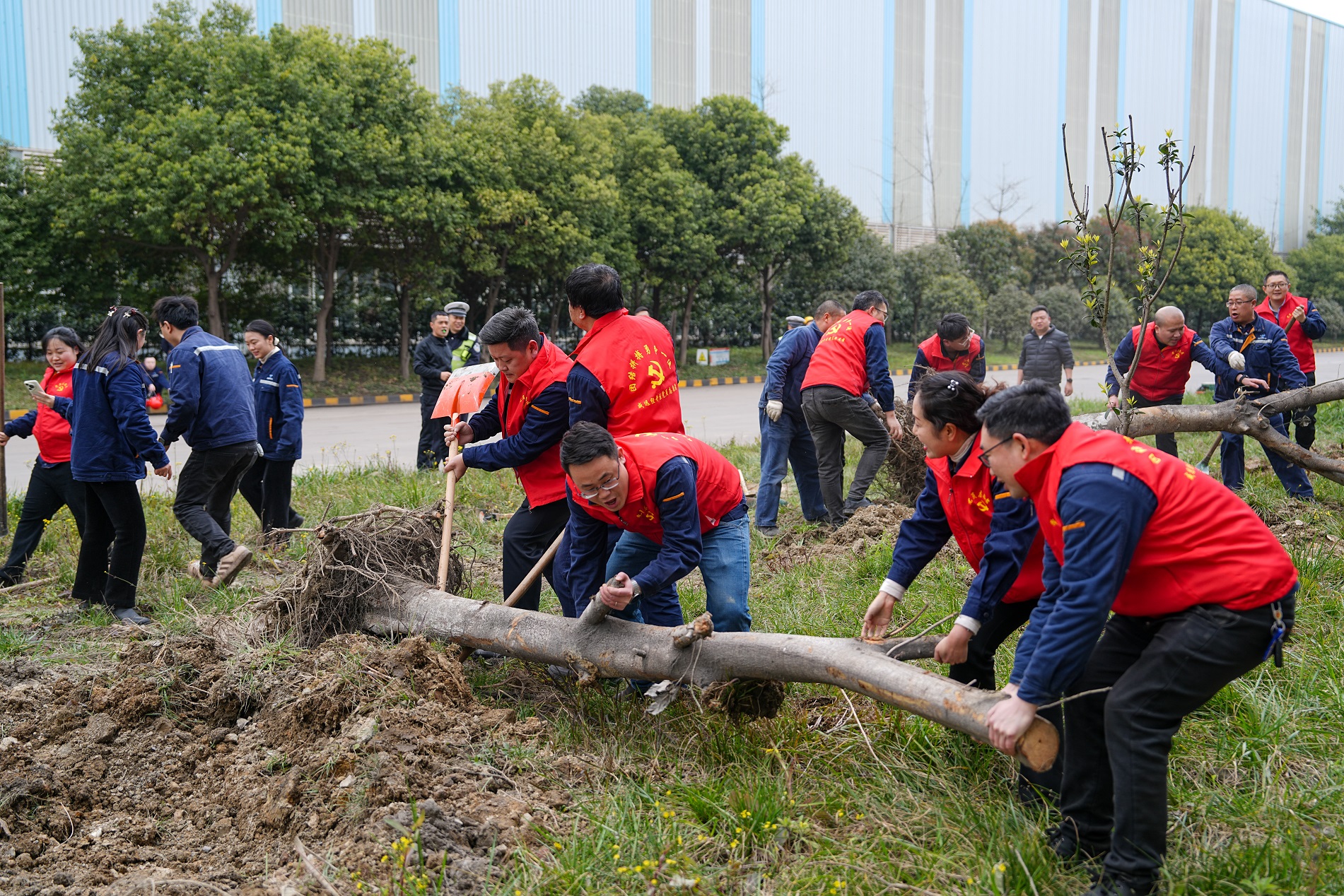 打造綠色川威 共建美好家園——釩鈦科技組織開展植樹節(jié)系列活動(圖3)