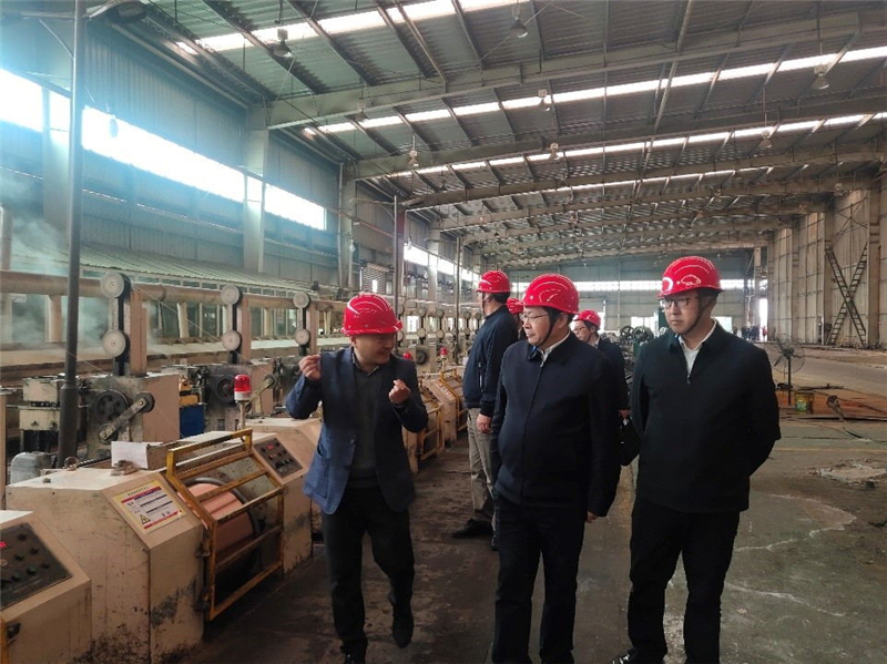 中國建筑金屬結(jié)構(gòu)協(xié)會(huì)鋼結(jié)構(gòu)分會(huì)常務(wù)副會(huì)長胡育科一行到川威集團(tuán)龍泉基地考(圖3)