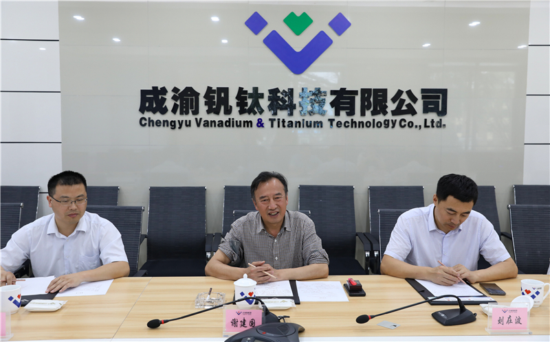 四川釩鈦產(chǎn)業(yè)技術(shù)研究院院長(zhǎng)張雪峰一行到川威連界基地調(diào)研交流(圖4)